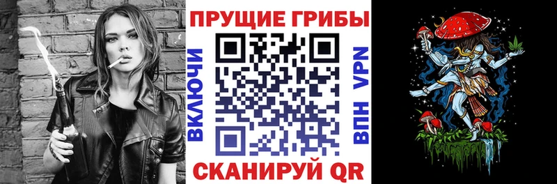 Галлюциногенные грибы прущие грибы  купить закладку  Хвалынск 